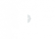 Creative digital agency custom B2B website project for Wowdo