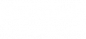Rollink logo