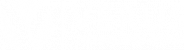 Web design company B2B project for Verus