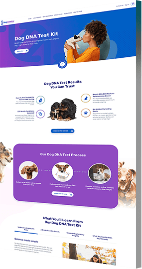 Web design company eCommerce project for Dognomics